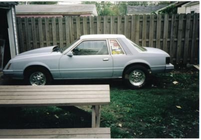 mustang23.jpg