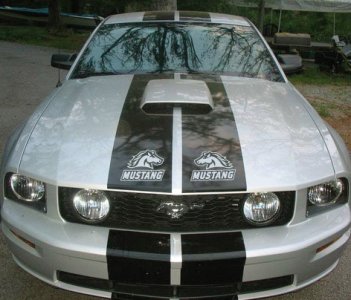 ford-mustangSTREETjpg.jpg