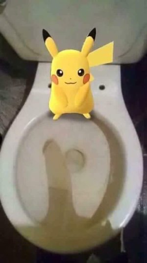 image.jpeg