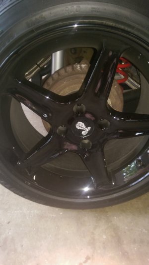 IMAG0276.jpg