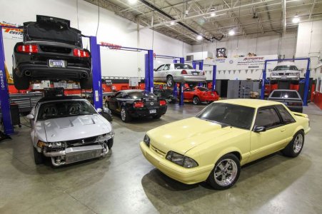 Mustangs....JPG