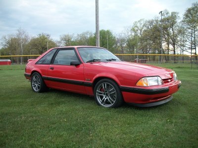 Mustang 2016 RF smaller.jpg