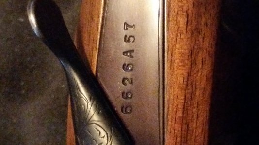 20160813_183549.jpg