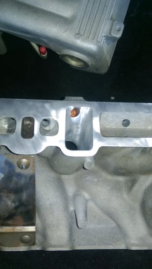 IMAG0415.jpg