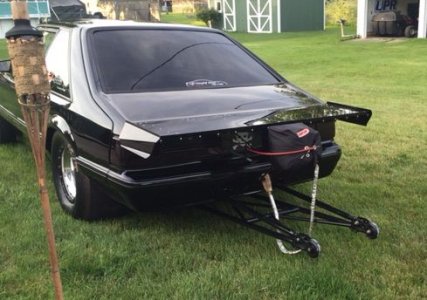 mustang_rear_angle2.jpg