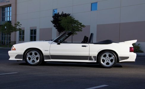 BB13_r287_10.jpg