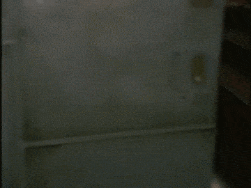 Scuba Steve Door.gif