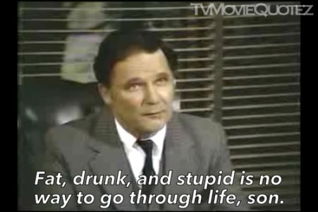 fatdrunkstupid.jpg