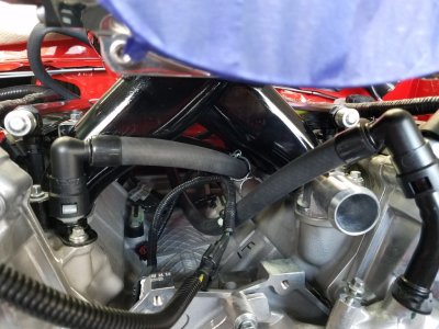 20170216_164953_zpstwyhxcc3.JPG