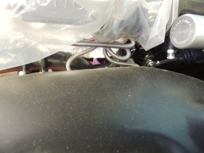 DSCN5351.JPG