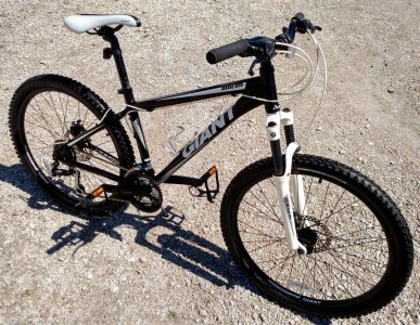 2010 Giant Rincon.jpg