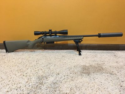 Ruger450_2.JPG