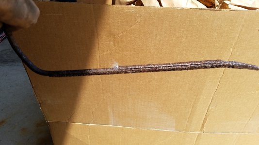 20170610_120514.jpg