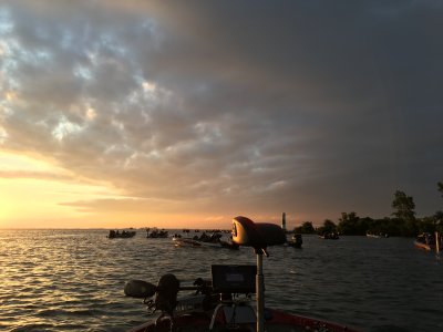 IMG_9868.JPG