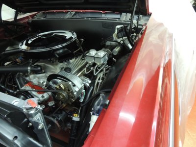DSCN5570.JPG