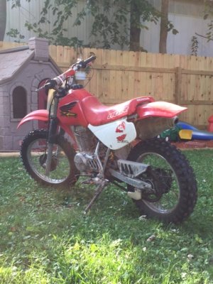BIKE2.jpg