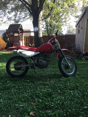 BIKE3.jpg
