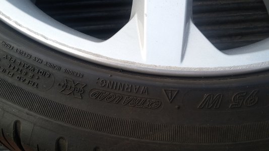 20170927_080534.jpg