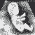 UnbornDriver.gif