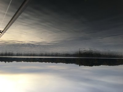 889A7737-4C4A-4789-A721-9DF117203D3C.jpeg