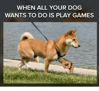 when-all-your-dog-wants-to-do-is-play-games-28860724.png