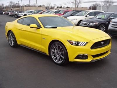 15 stang 2.jpg