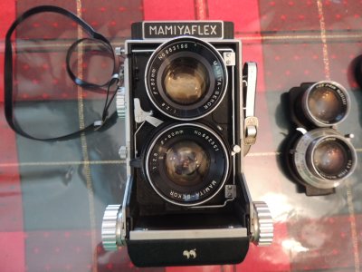 DSCN5838.JPG
