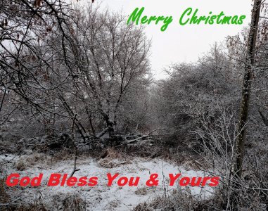 Christmas 17'.jpg