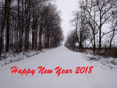 Happy New Year.jpg