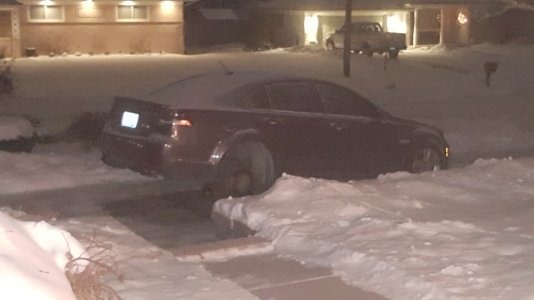 snows2.jpg
