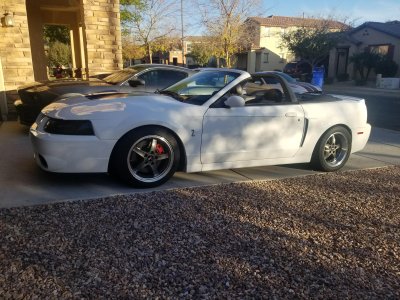 03 cobra.jpg