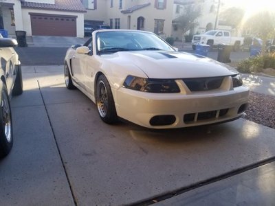 cobra 3.jpg