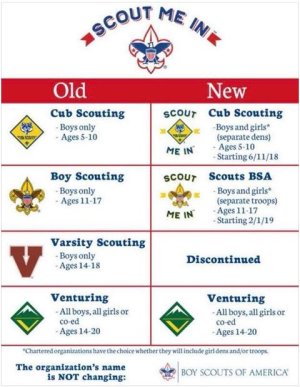 scouts.jpg
