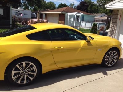 15 stang pvd.jpg
