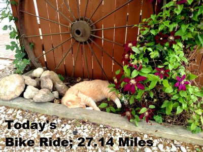 Bike Ride 6-25-2018  .jpg