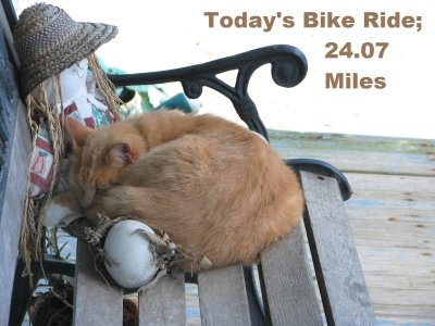 Bike Ride 8-3-2018.jpg
