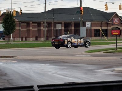 80-mvimg_20181004_084716_267f6b4c51595c48502f6bb97e573f17d8d2b244.jpg