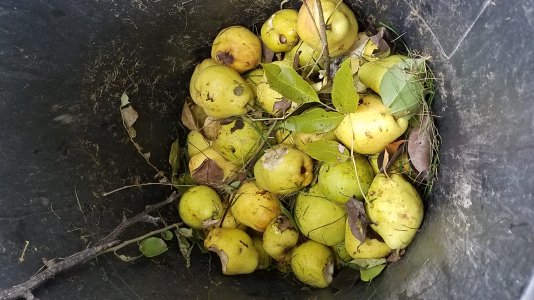 20181021_115200.jpg