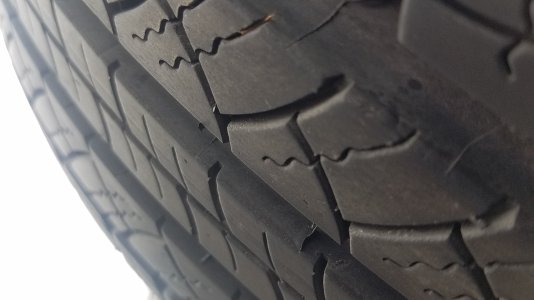 20181217_121434.jpg