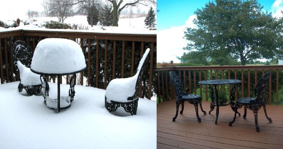 Snow .jpg