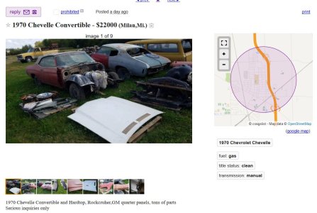 Cars .JPG