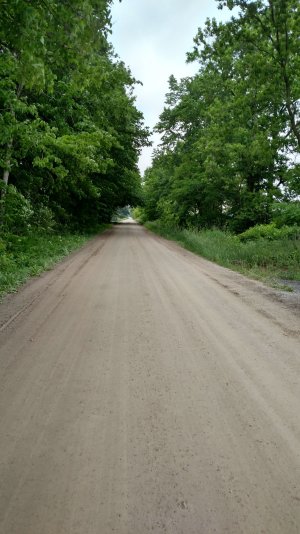 Bike Ride 6 .jpg