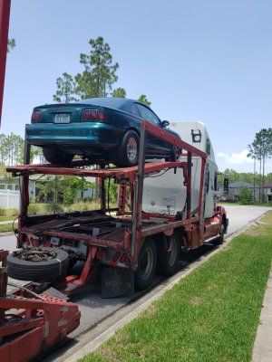 car hauler.jpg