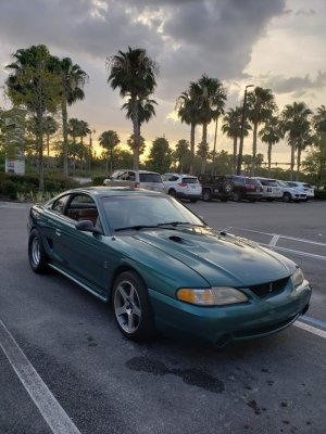 florida.jpg