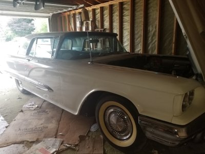 T-Bird 003.jpg