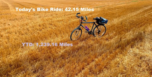 Bike Ride 7-29-2019 .jpg