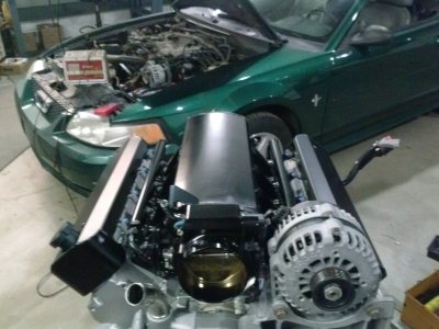 CAM00771.jpg