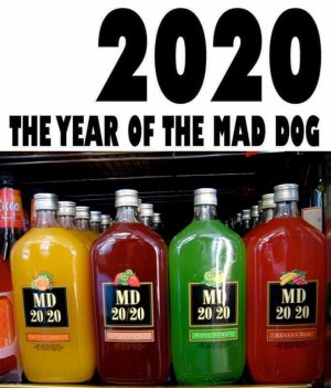 md2020.jpg