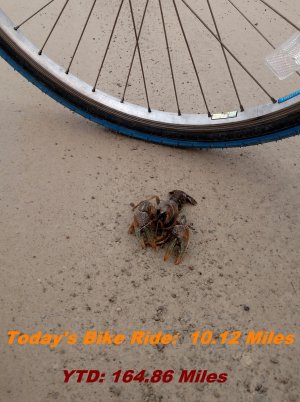 Bike Ride 3-12-2020.jpg