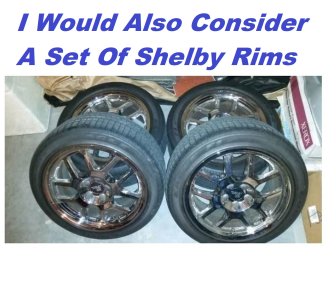 Shelby Rims .jpg